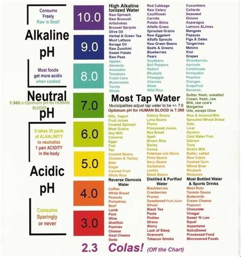 List Of Alkaline And Acidic Foods Chart