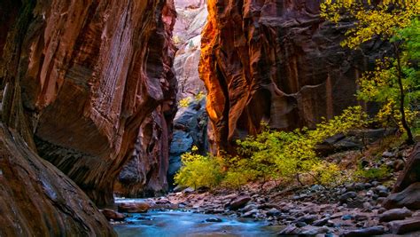 Zion National Parks Beauty Calls Visitors Back