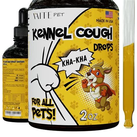 7 Best Kennel Cough Medicine 2022