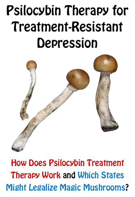 Psilocybin Therapy And Legalization Of Magic Mushrooms Inspire Malibu