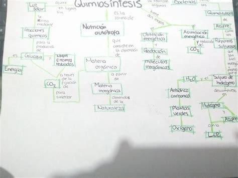 biología Mapa conceptual quimiosintesis