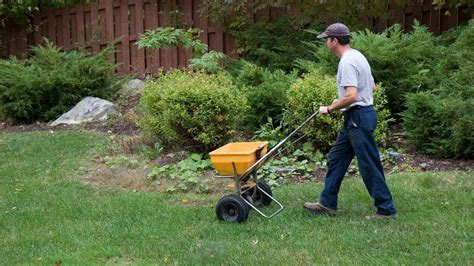 How Often Should You Fertilize Your Lawn