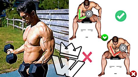 Dumbbell Workout Routine For Muscle Gain