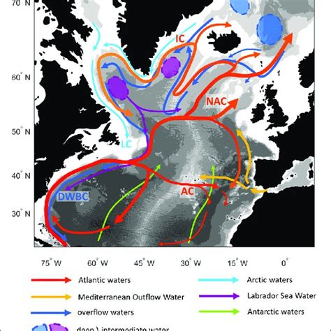 Schematic Of The Main Circulation In The North Atlantic Ocean Color
