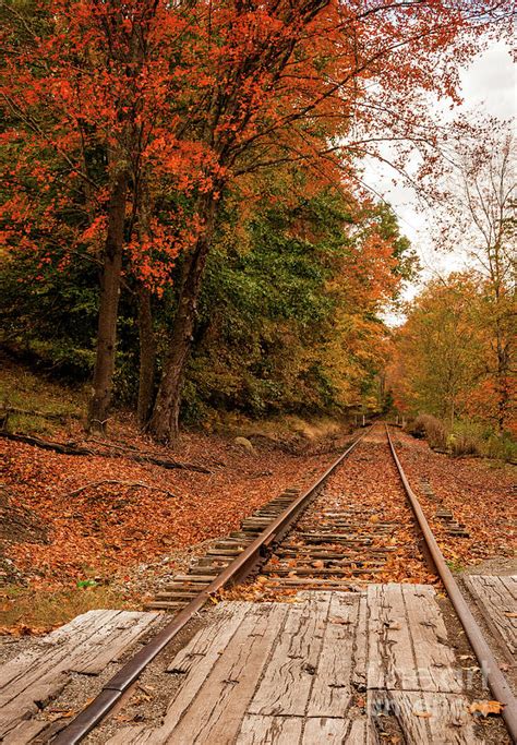 Fall Leaves And Train Track Wv Photograph By Kathleen K Parker Fine