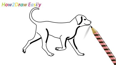 How To Draw A Dog Walking Easy Drawing Step By Step For Beginners Youtube