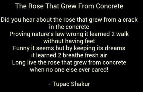 19 Best Images About Tupac Poems On Pinterest Legends Wake Up And