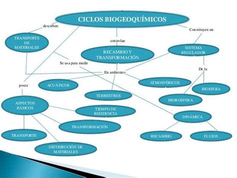 Mapa Conceptual De Los Ciclos Biogeoquimicos Geno
