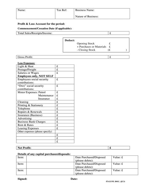 Fillable Online Profit Loss Statement Template Fax Email Print Pdffiller