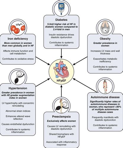 Sex Differences In Cardiovascular Pathophysiology Circulation