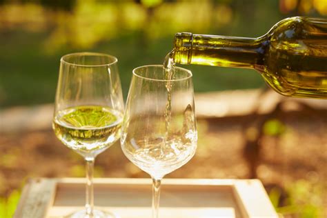 What Is A Dry White Wine Driest White Wines For 2023 Cozymeal
