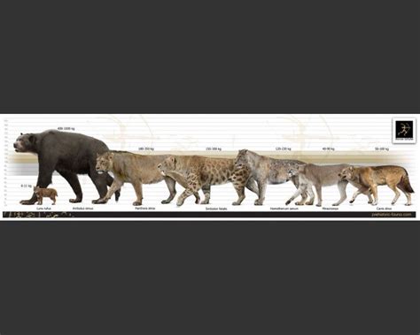 Extinct North American Mammals Pets Lovers