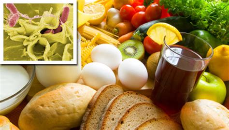 Antimicrobial therapy (or treatment with antibiotics) is not recommended for uncomplicated gastroenteritis. ¿Qué es la salmonella y cómo prevenirla?