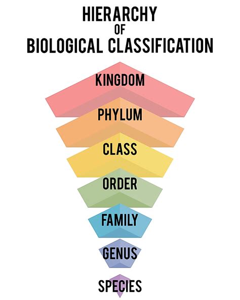 Species Biology Classification