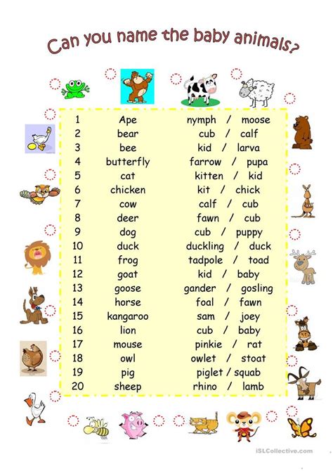 Animals And Their Babies Worksheet For Kids