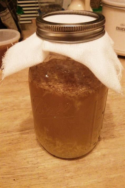 Learn How To Start A Ginger Bug A Natural Soda Starter That Can Be
