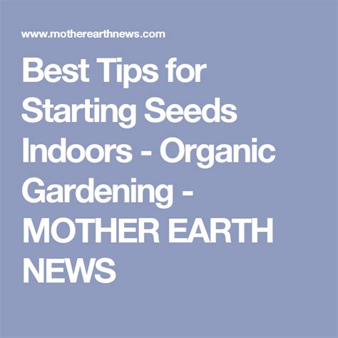 Best Tips for Starting Seeds Indoors | MOTHER EARTH NEWS | Starting seeds indoors, Seed starting ...