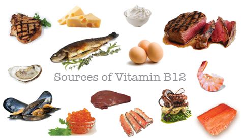 Foods High In Vitamin B12 Rich Source Of Vitamin B12