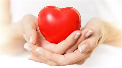 Siete Consejos Para Mantener Un Corazón Saludable Elolfatocom