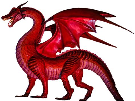 Red Dragon Png Png Image Collection