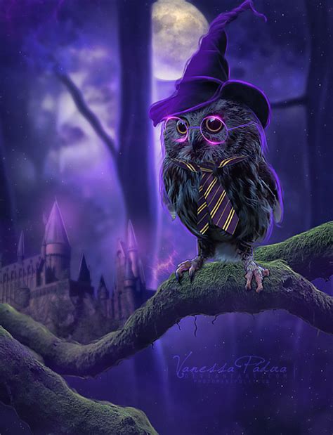 Harry Owl By Vanessapadua On Deviantart Owl Artwork Cute Owls