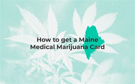We did not find results for: How to Get a Maine Medical Marijuana Card in 2020 | Leafwell