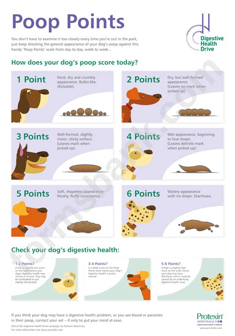 Dog Poop Chart Printable Pdf Download