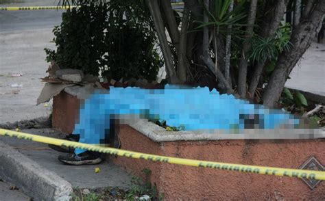 Yucatán Encuentran A Hombre Muerto En Un Arriate De La Vía Pública
