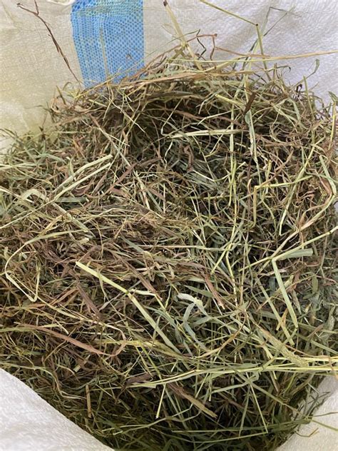 Alfalfa Hay Mulch Compost Foc Delivery Furniture And Home Living