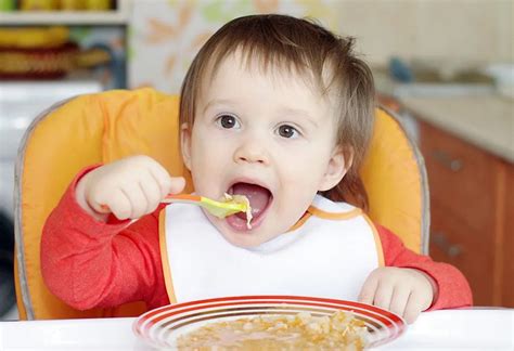19 Months Old Baby Growth Development Food And Activities
