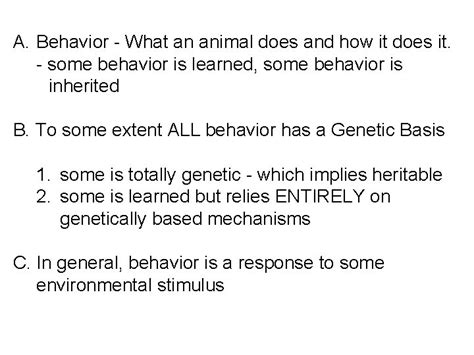Chapter 51 Animal Behavior What Is Behavior Behavior