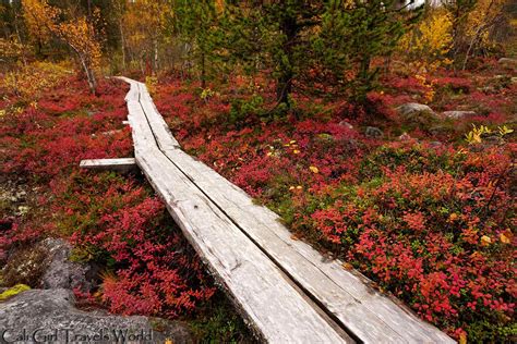 Why Autumn Is The Best Time To Visit Lapland Finland