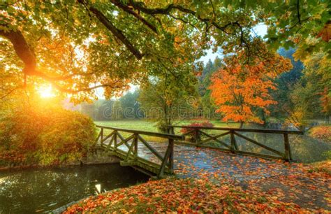 Beautiful Autumn Scenery In Park Stock Photo Image Of Bridge Brook