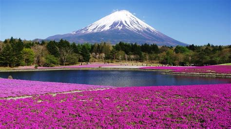 Honshu Island Japan View Of Mount Fuji Hd Wallpaper Background