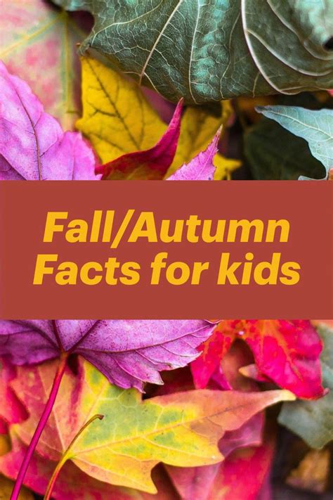 What Happens In Fall Fallautumn Facts For Kids 2020 Kids Play And