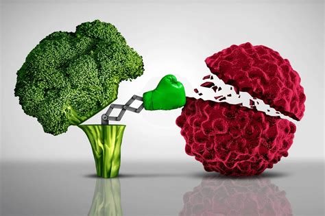Alimentos Que Combatem Cancer