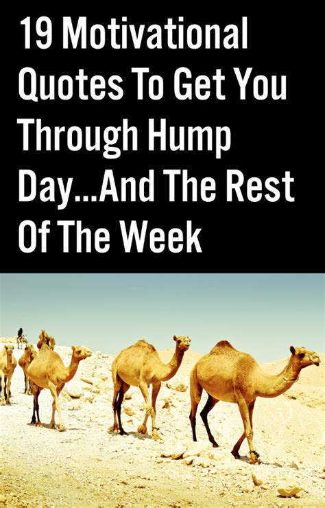 19 Motivational Quotes To Get You Through Hump Dayand The Rest Of The Week Love Quotes Funny