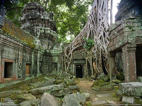 Nature Trees Temple Overgrown National Geographic