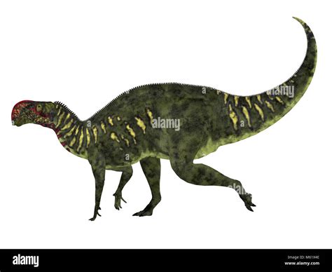 Dinosaur Iguanodon Cut Out Stock Images And Pictures Alamy