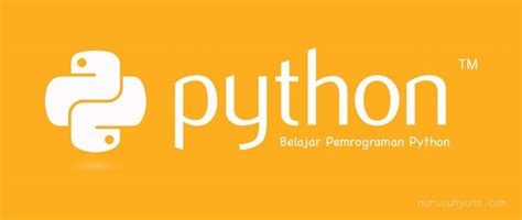 Mengenal Python Dan Cara Belajar Untuk Pemula Idcloudhost
