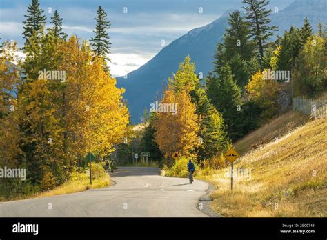 Vermilion Lakes Road In Autumn Foliage Season Sunny Day Banff Legacy