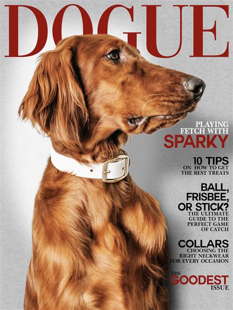 Personalized Dog Prints Magazine Covers Pet Portraits Etsy Uk