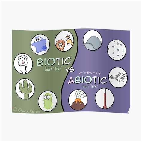 Biotic Vs Abiotic Poster Poster By Amoebasisters Redbubble