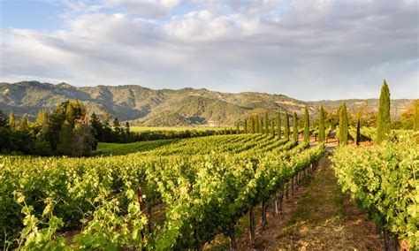 12 Stunning Airbnbs In Napa Valley California Wandering Wheatleys