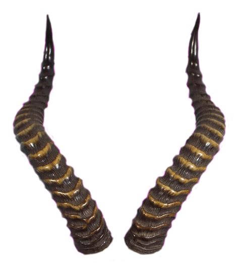 Horn Png Tarsha Barrios