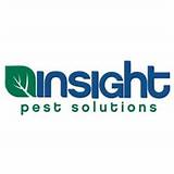 Pictures of United Pest Solutions