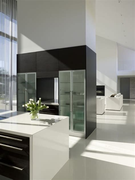 10 kitchen cabinet remodel secrets. Modern Kitchen Cabinet Doors Home Design Ideas, Pictures ...