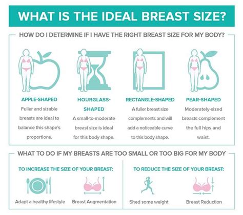 Breast Size Chart Pictures Real