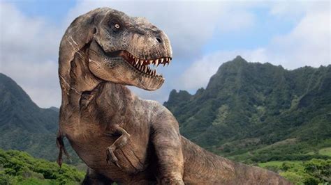 David Hones The Tyrannosaur Chronicles Profiles T Rex