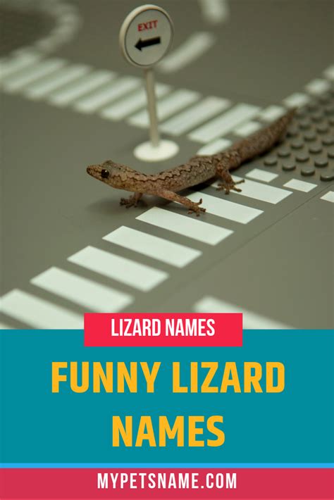 Funny Animal Names 120 Hilarious Side Splitting Unbelievable Names